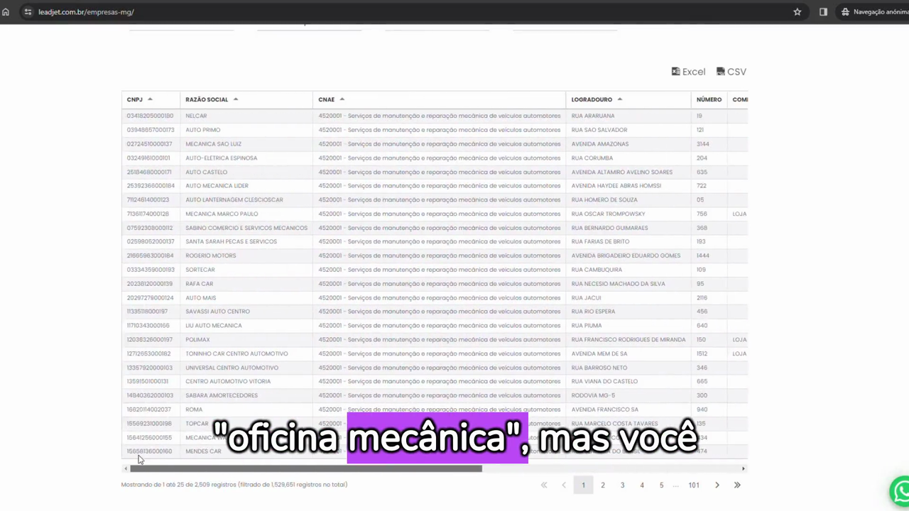 Tabela de empresas filtradas por CNAE — input do funil de vendas B2B com dados de contato comercial